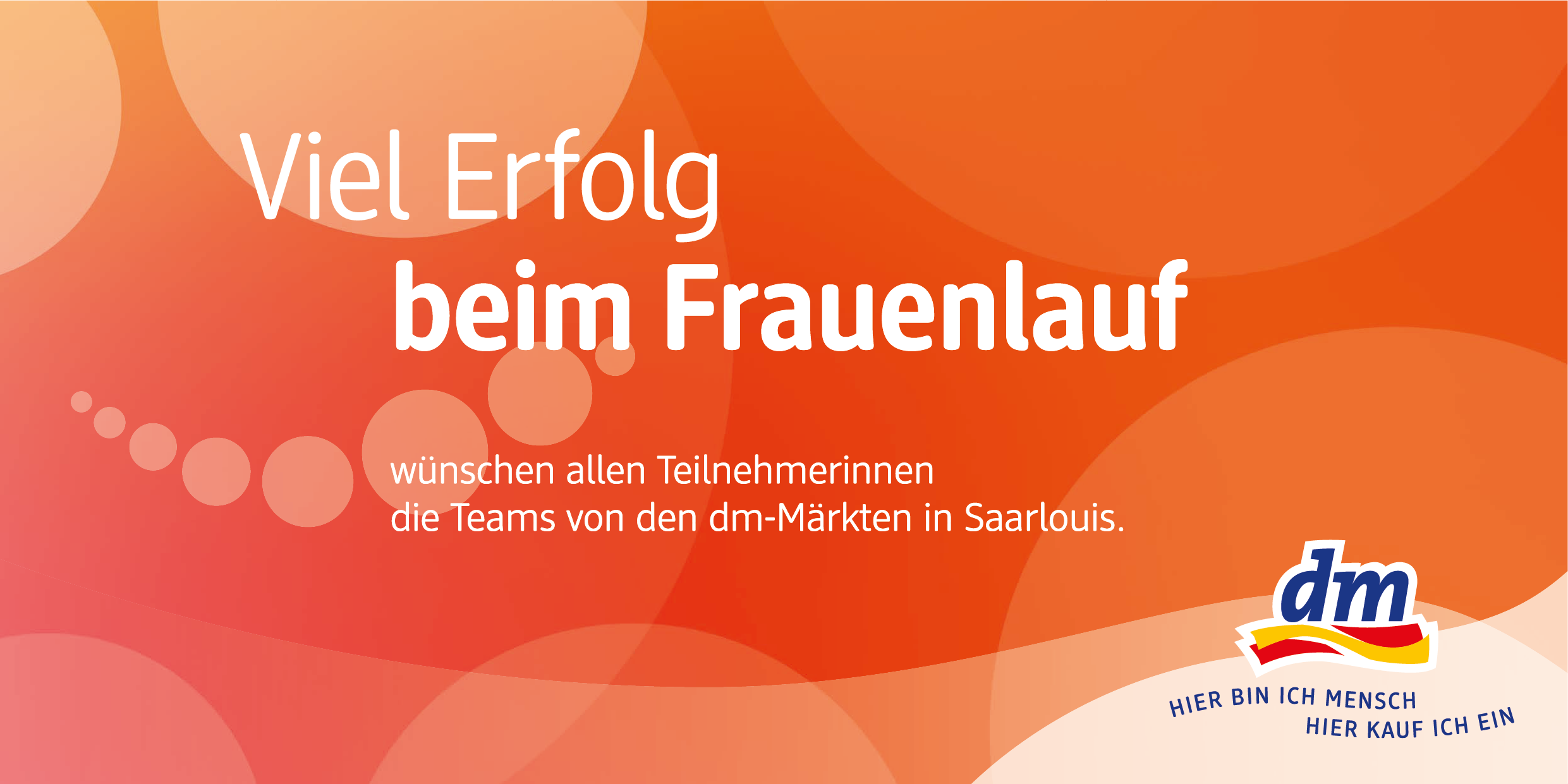 dm_beitrag